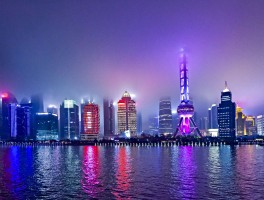 关于夜上海最新论坛新的信息